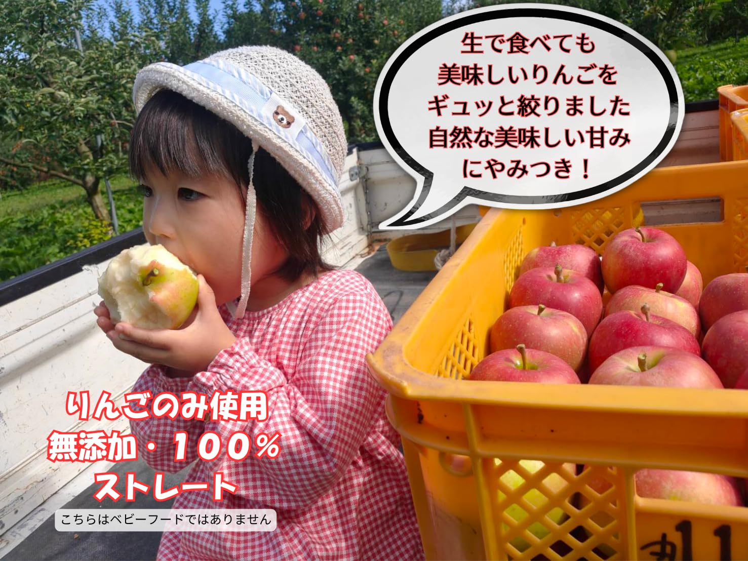 Amazon.co.jp: 【無添加・無加糖りんごそのまま】山形県朝日町産100