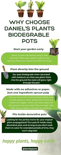 Miniatura 9 de Daniels Plants macetas de turba biodegradables 3