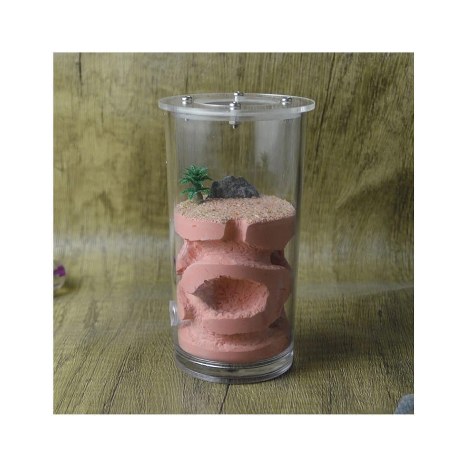 Terrario Castillo de Hormigas, Kit de observación de Granja de Hormigas, Multicolor, 13 x 6,7 cm, acrílico Transparente, Experimento científico(Pink)