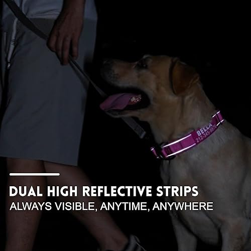 Miniatura 16 de Collar táctico personalizado para perro con asa de control, nombre y teléfono personalizados, forro acolchado de neopreno, tiras reflectantes