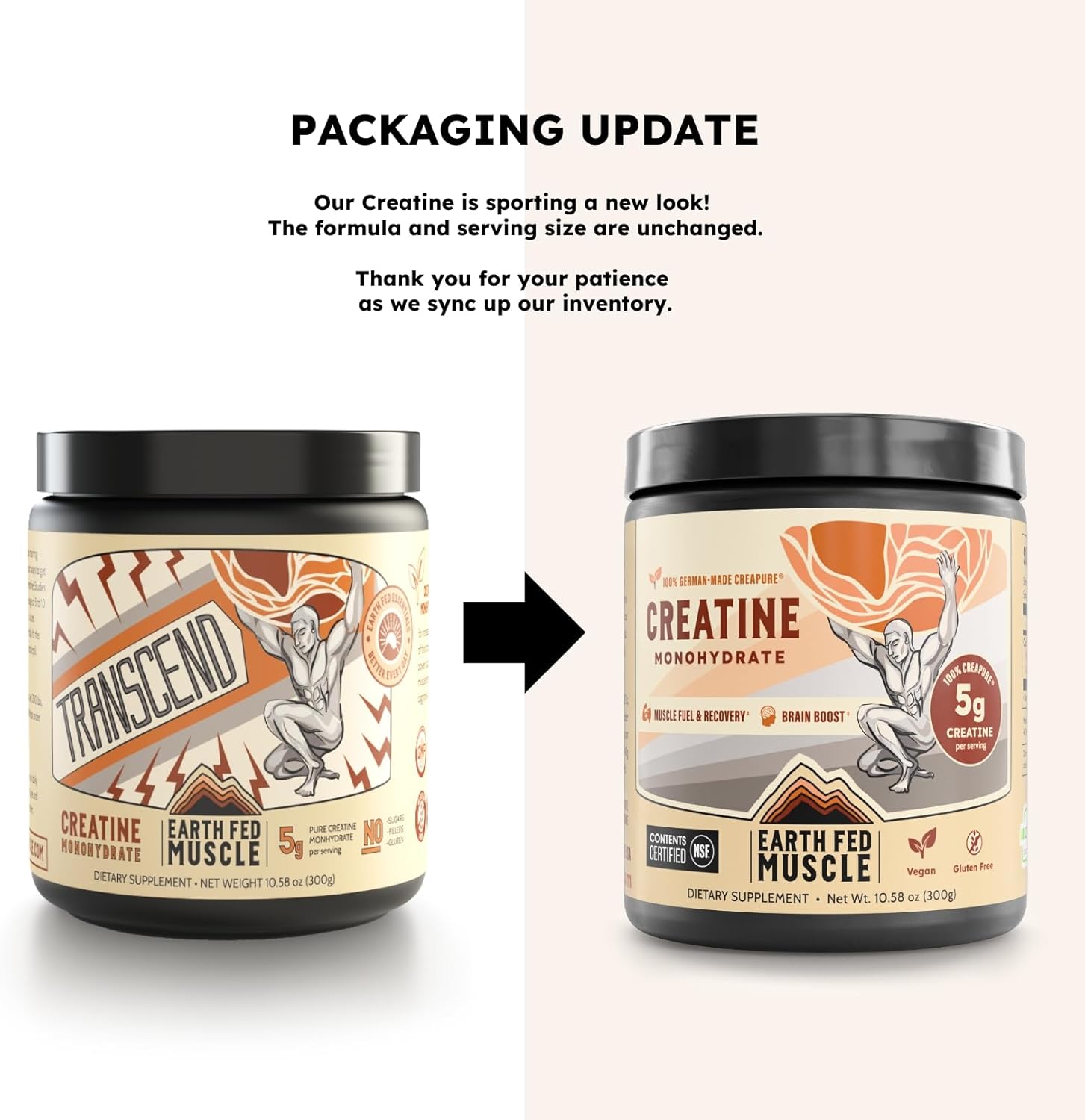 Earth Fed Muscle Transcend Creatine Monohydrate Powder – 100% German Creapure Creatine for Women | Muscle Recovery & Building, Energy Production | Unflavored 5g Serving, 60 Servings per Container - Image 2