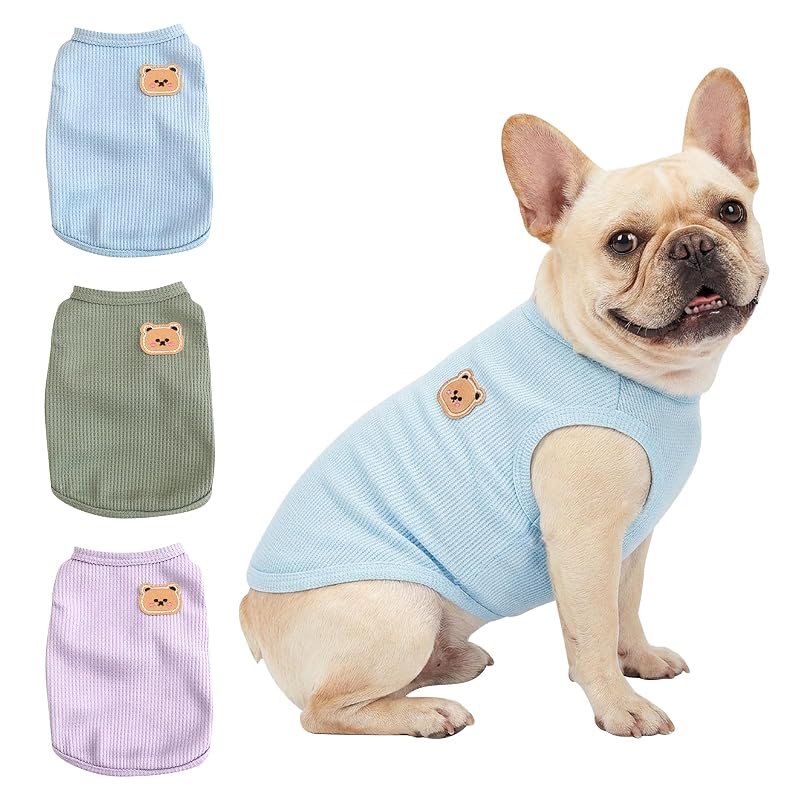 Camisa para cães de tricô waffle com patch de urso COOHAMS Green&Blue&Purple, tamanho XX-Large (8,2–10,4 kg)