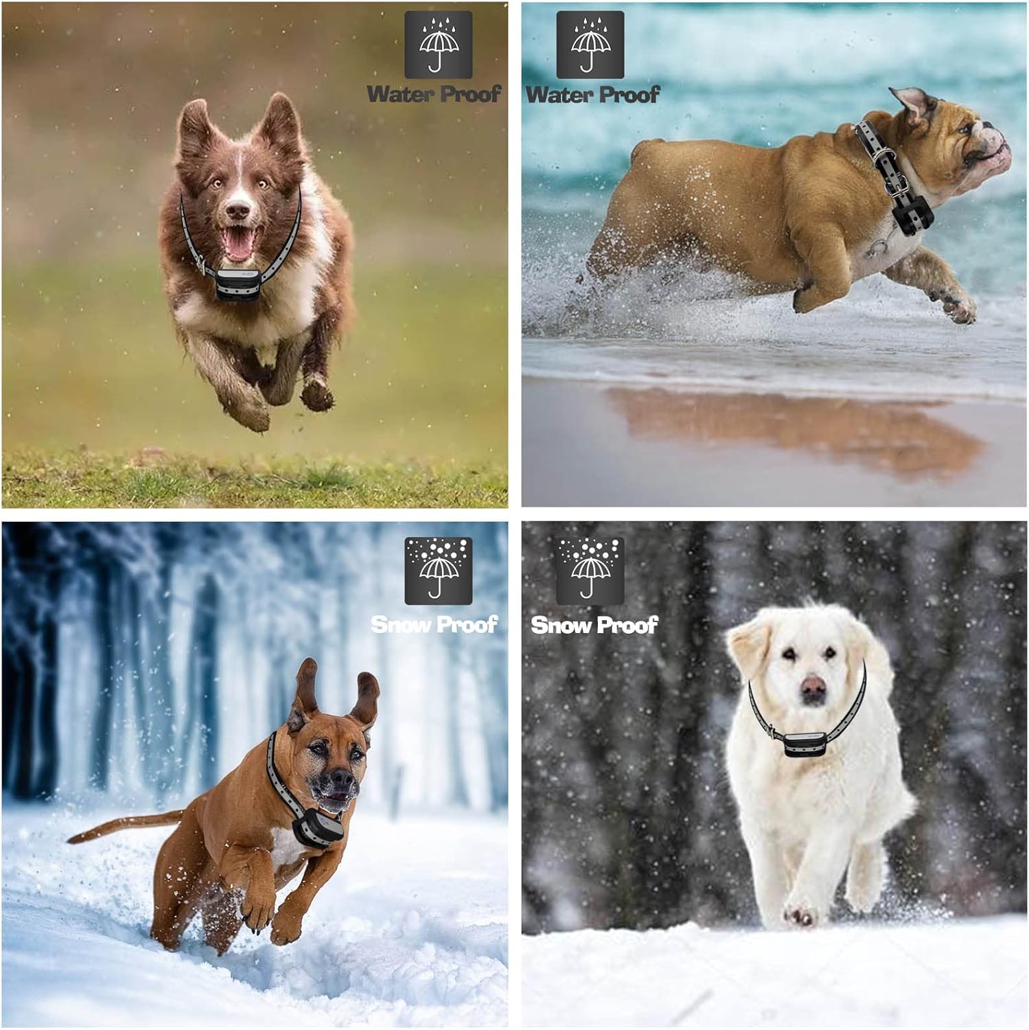 Smoostart Wireless Pet Containment System Dog Fence Wireless, Dog Boundary Collar System Waterproof Receiver Training Collar of Dogs Keep Pets Secure in Your Yard (Wireless Fence Kit) : Smoostart : Pet Supplies