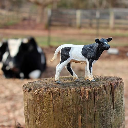 Miniatura 4 de Safari Ltd. Holstein Figura de ternero – Figura detallada de plástico de 3.25 pulgadas – Divertido juguete educativo para niños, niñas y niños a