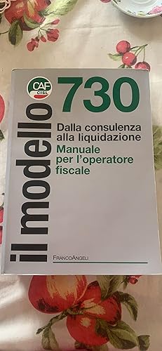Il modello 730: Dalla consulenza alla liquidazione. Manuale per l'operatore  fiscale eBook : Caf Cisl: Amazon.it: Kindle Store