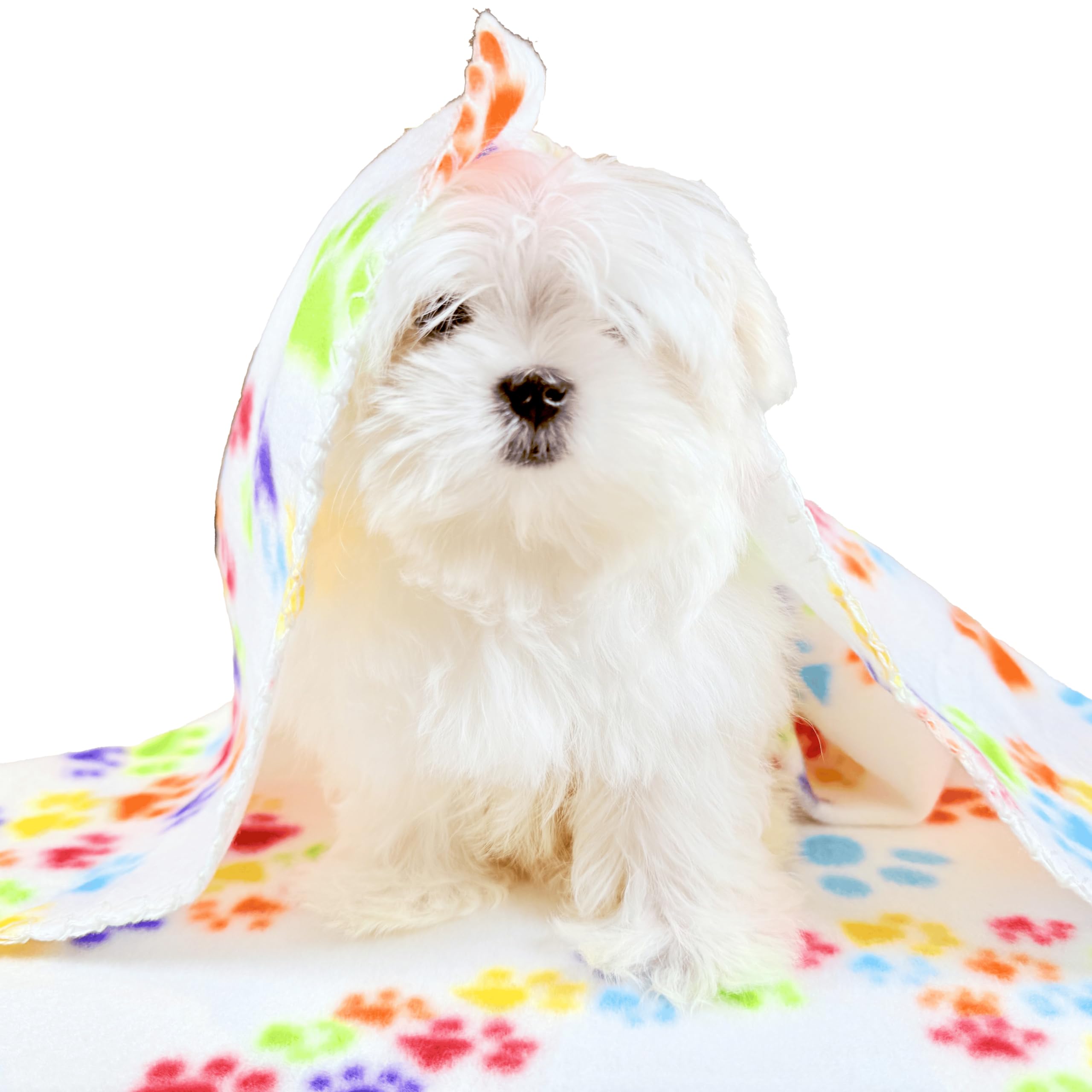 TBK Pets Double-Sided Fleece Pet Blanket, Soft Snuggle Blanket for Dogs and Cats Machine Washable (1 White, 28x24/70x60cm) - Image 3