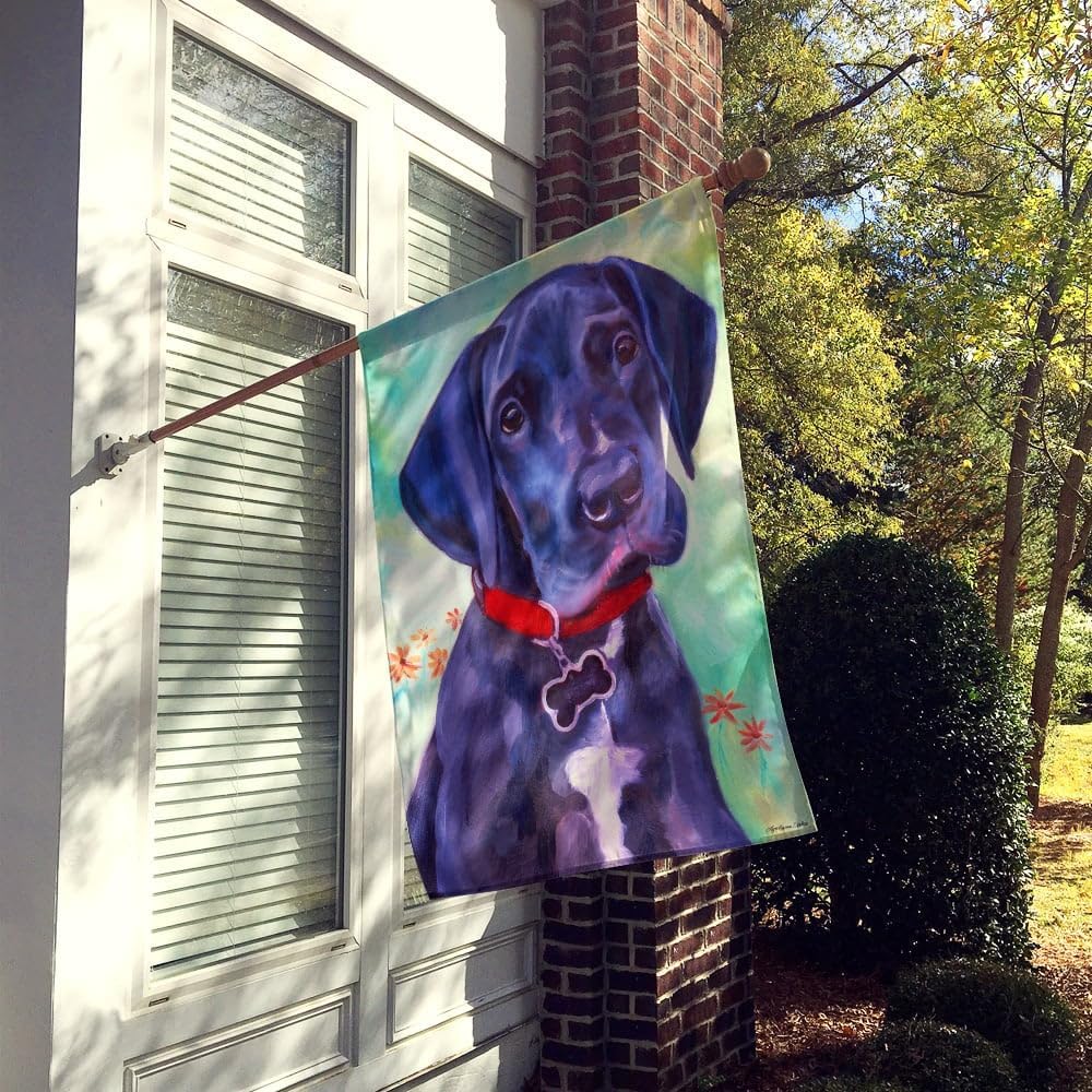 Caroline's Treasures 7312CHF Great Dane Natural Ears Black Pup House Flag Large Porch Sleeve Pole Decorative Outside Yard Banner Artwork Wall Hanging, Polyester, House Size, Multicolor