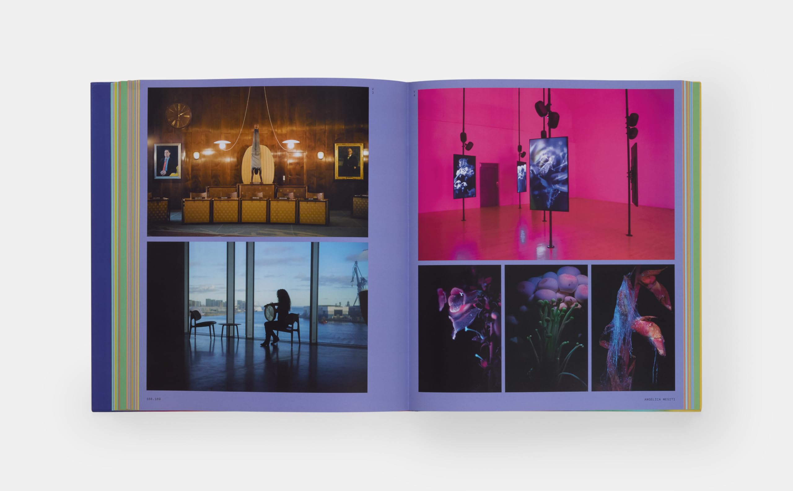 Vitamin V: Video and the Moving Image in Contemporary Art