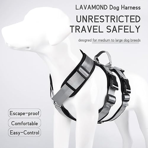 Miniatura 2 de LAVAMOND Arnés grande para perro, sin tirones, a prueba de escapes, con asa, 4 hebillas, 2 anillos, acolchado suave, antideslizante, ajustable,