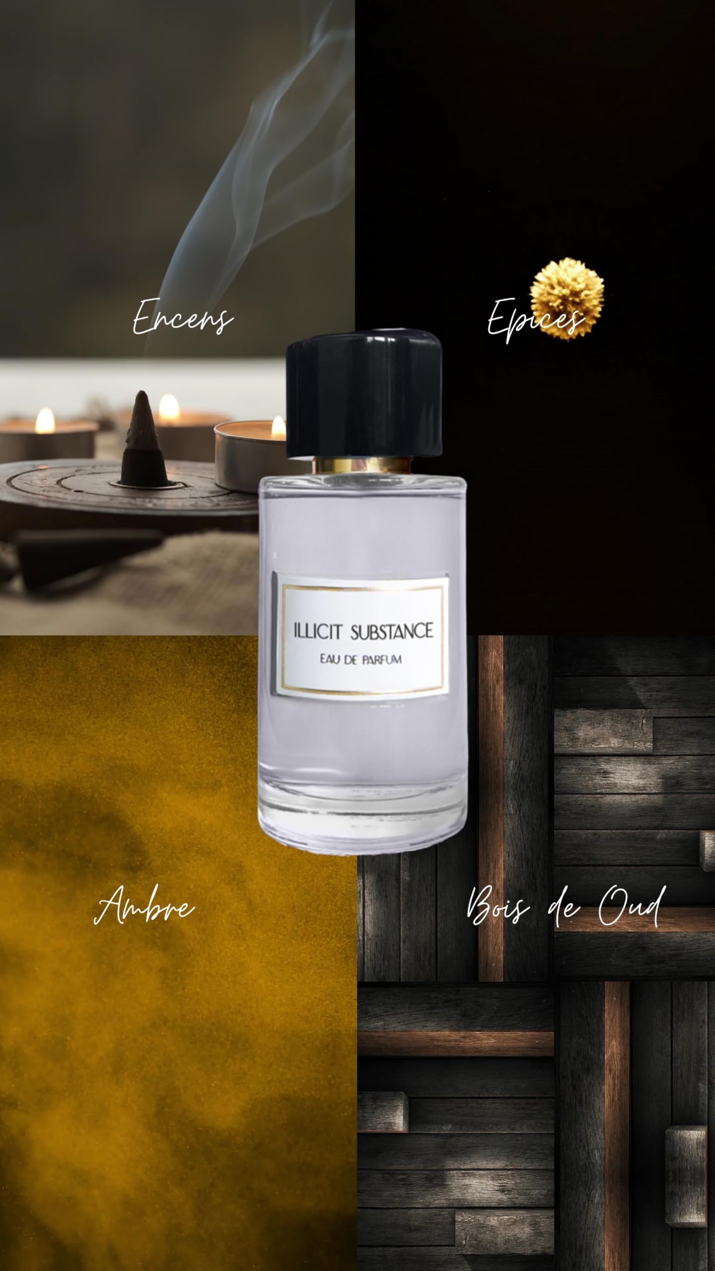 JEANNE ARTHES - Collection Privée - Eau de Parfum Illicit Substance - Boisé & Epicé - Ambre, Bois de Oud - Fabriqué en France à Grasse - Flacon Vaporisateur 100 ml