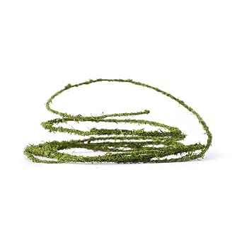 SuperMoss Floral Wire, 12 ft.