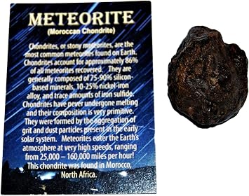 أحافير ، نيازك ، المزيد من المغربية Stony Meteorite Chondrite Genuine 71.1 Grams w / Color Card # 14644 6o