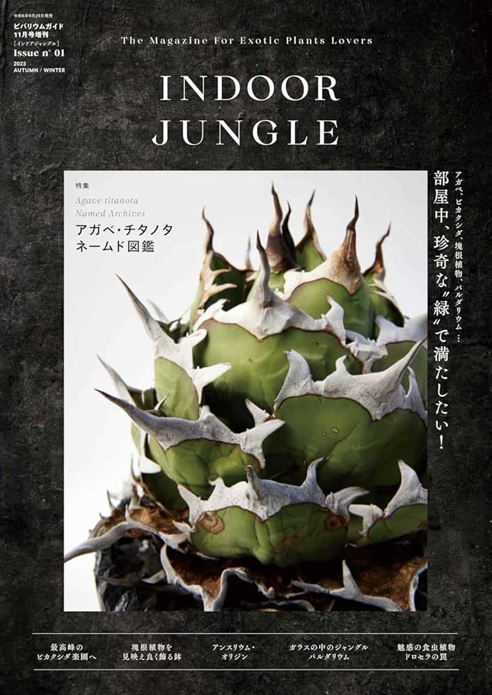 インドアジャングル　1〜3セット販売 インドアジャングル1〜3セット販売