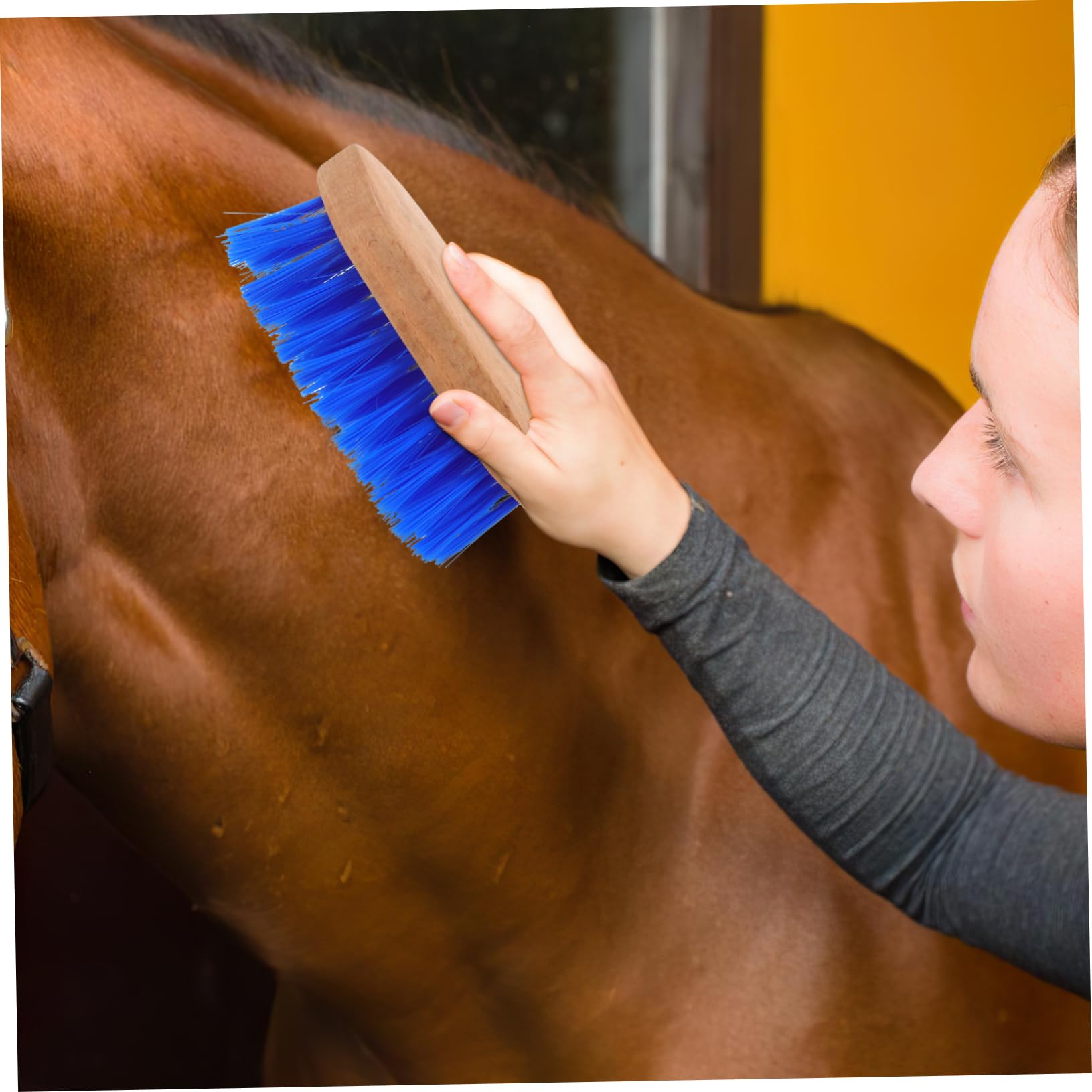 PartyKindom 4 Cepillos Para Caballos Herramienta Para La Muda De Piel Cepillo Para Ganado Raspador De Sudor Cepillo De Crin Cepillo Para El Pelo Cerdas De Caballo Cepillo Para La Muda