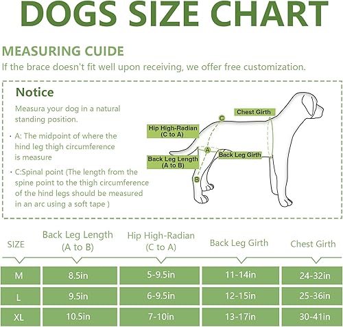 Miniatura 2 de Rodillera ajustable para perro para ambas patas traseras, soporte de AclCcl y alivio de rótula luxante, soporte de lesiones de ligamento cruzado con