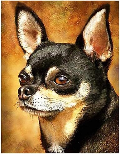 Amazon 油絵キット初心者デジタル絵画チワワ犬動物絵画デジタル大人初心者キッズアートクラフトデコレーション40x50cm 刺しゅうキット 通販