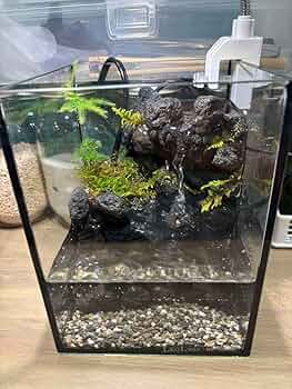 ️⭕️本日限定sale️⭕️アクアテラリウム 完成品 滝 ガラス水槽 Amazon.co.jp: アクアテラリウム 滝 15センチ水槽 : ペット用品