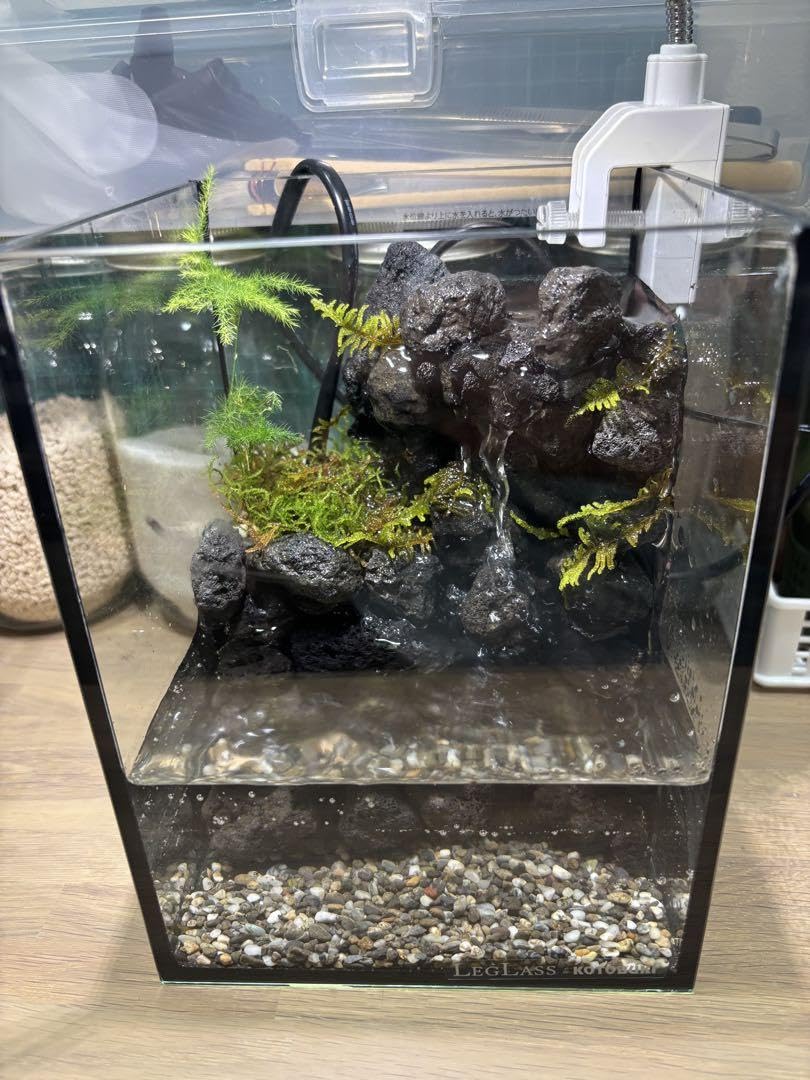 滝が流れるアクアテラリウム No.13 滝が流れるアクアテラリウム No.13 滝が流れるアクアテラリウム