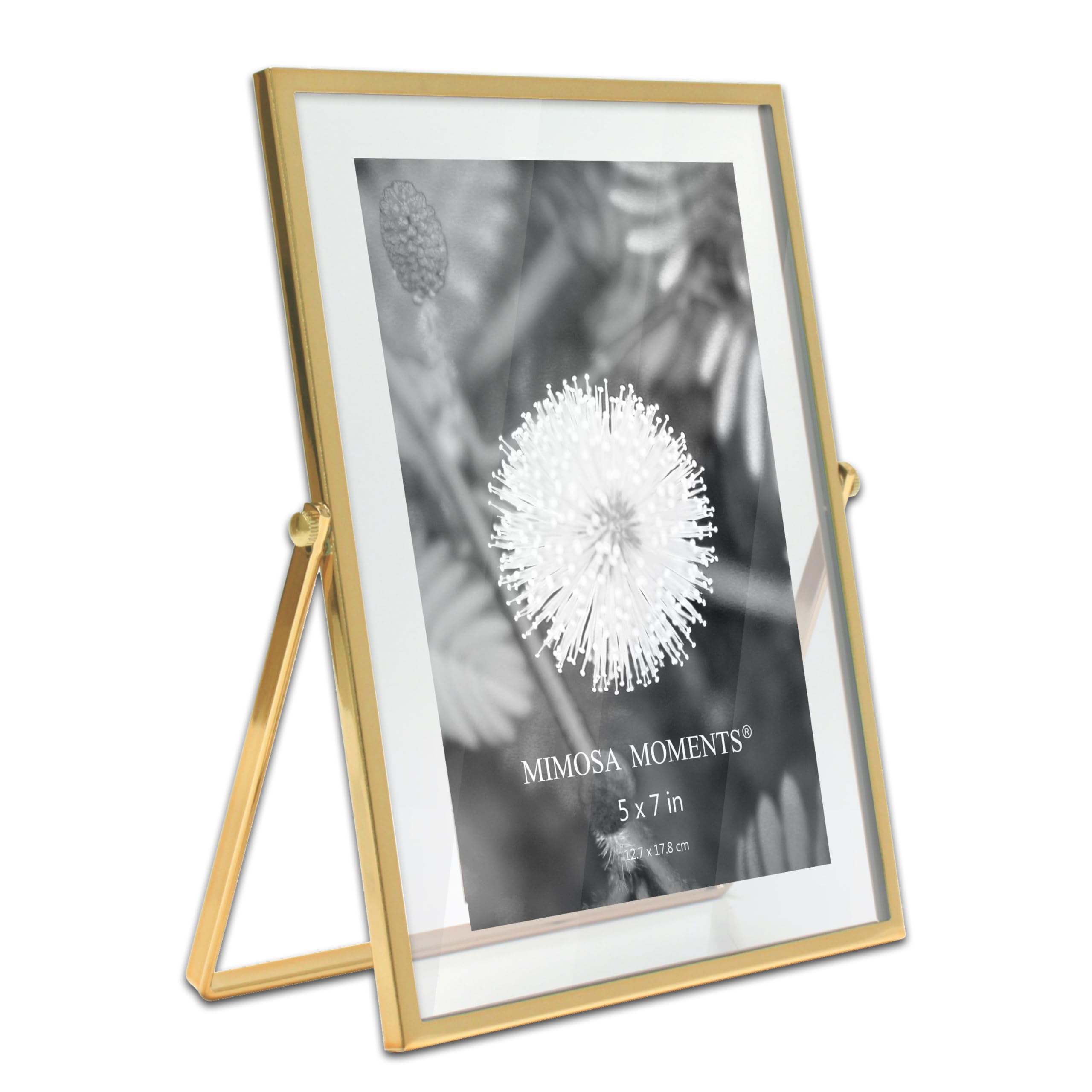 MIMOSA MOMENTS Brass Metal Floating 5x7 Picture Frame