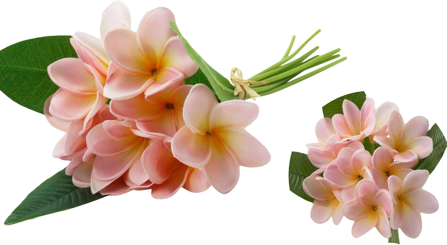 Angel Isabella Pack of 2 Bundles-Lifelike Real Touch Artificial Frangipani Raffia Tied Home Kitchen Wedding Centerpiece DIY Bouquet Corsage Boutonniere(Blush Pink Yellow Center)
