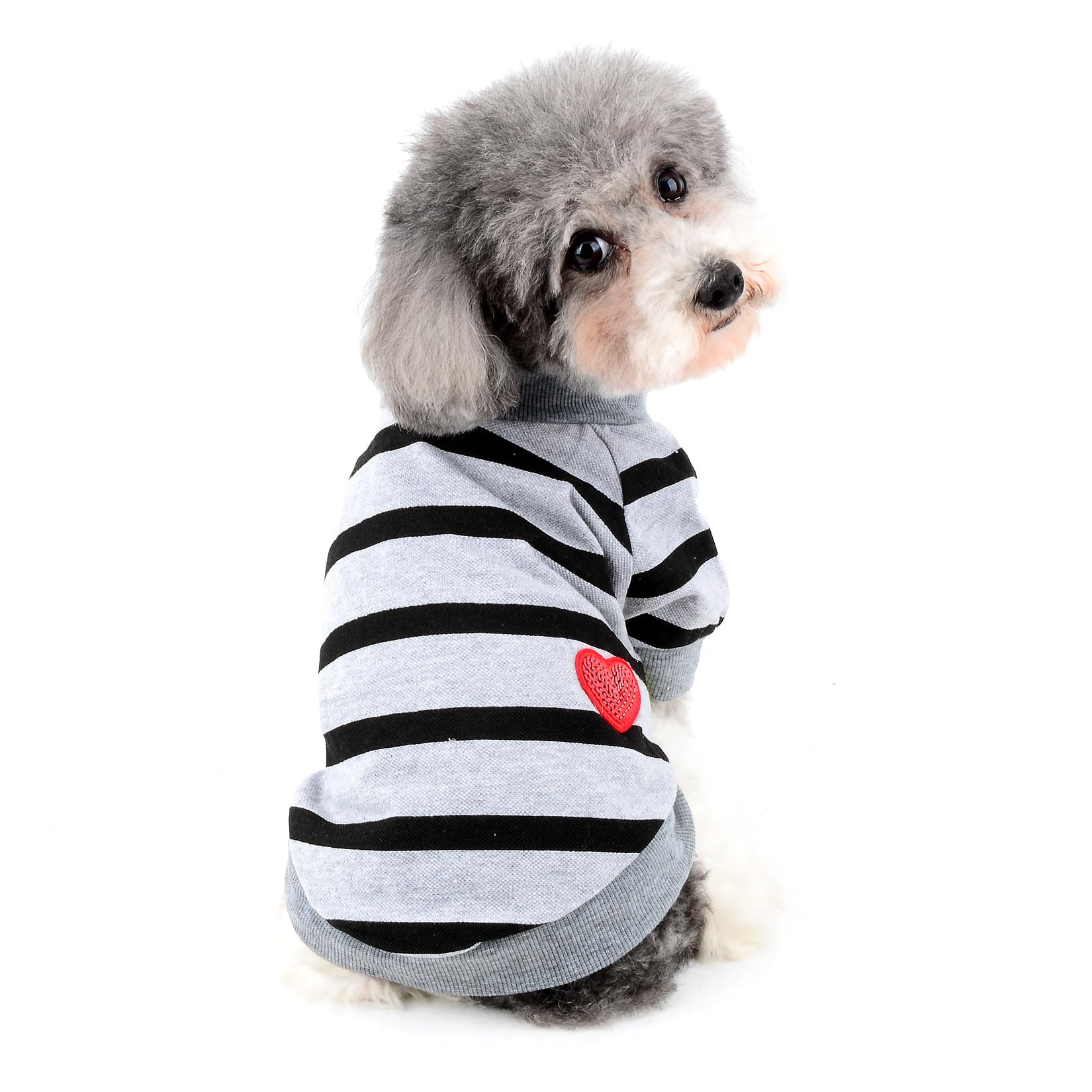 Ranphy Sequin Heart Dog T-Shirt for Small Dogs and Cats, Grey, XS — image 1