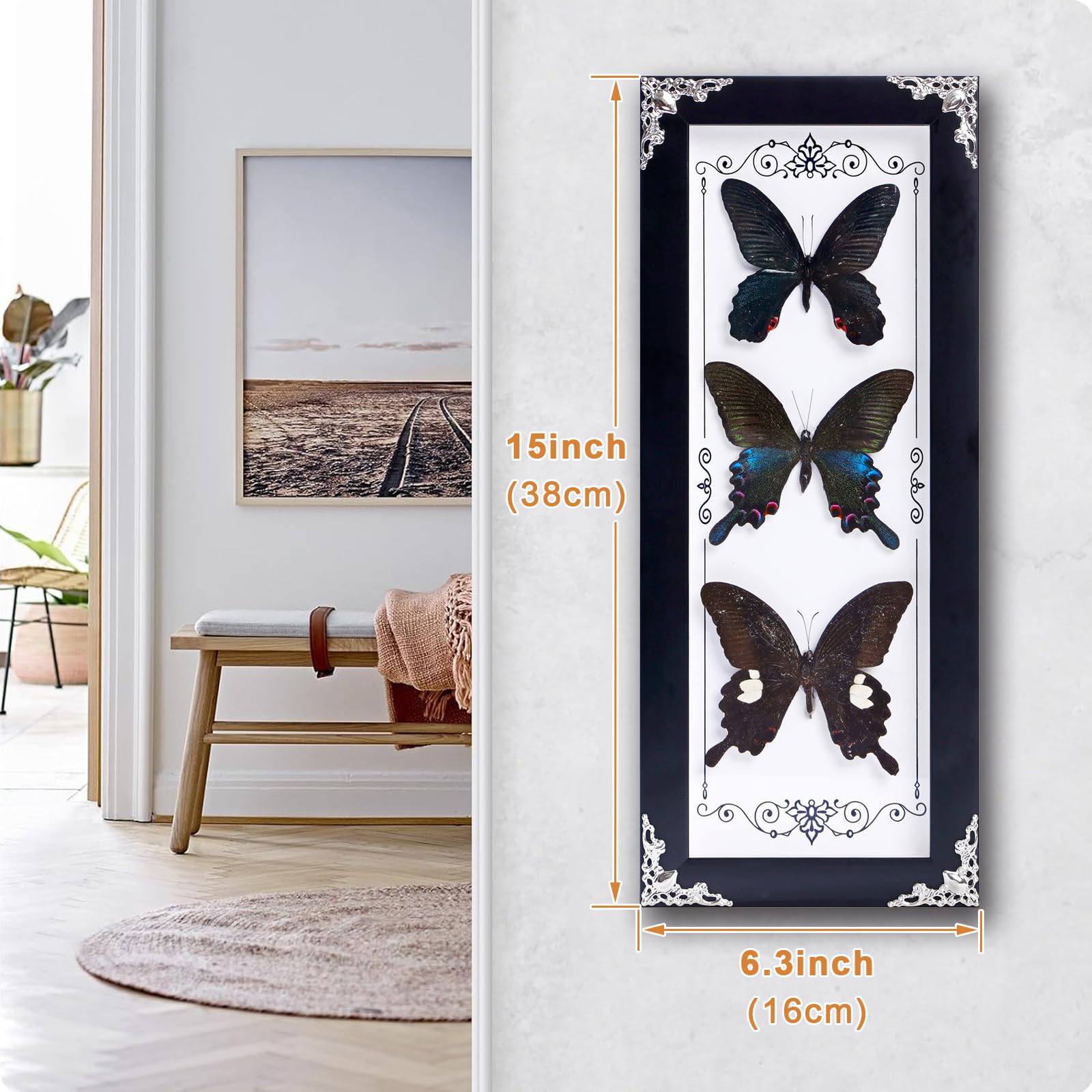 Amazon.com - Framed 3 Real Butterfly Gothic Decor, 15.2