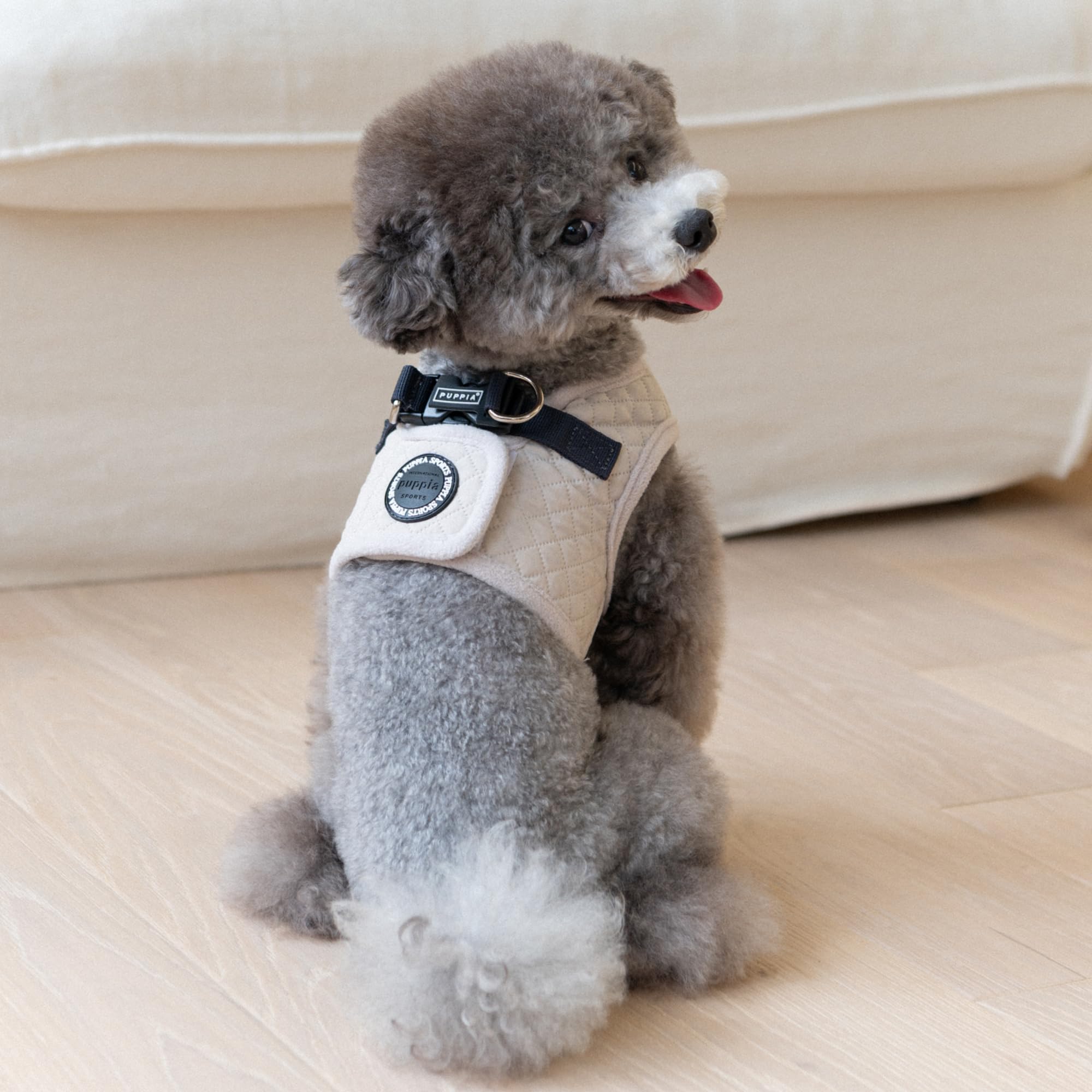Puppia Irvin Harnais pour Chien Chaud d'hiver Motif Losanges pour Chiens de Petite et Moyenne Taille, crème, Taille M