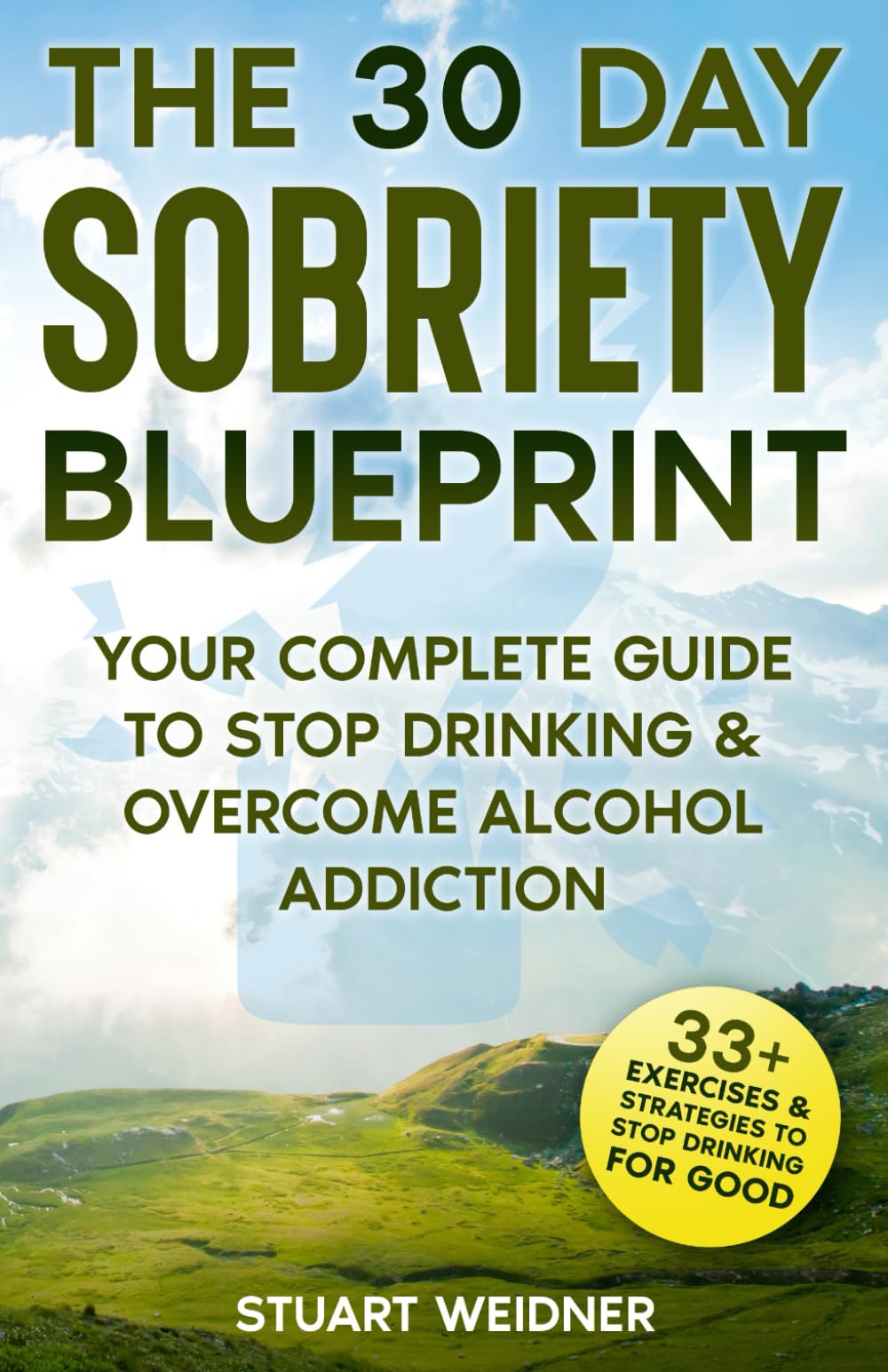 The 30 Day Sobriety Blueprint: Your Complete Guide To Stop Drinking & Overcome Alcohol Addiction