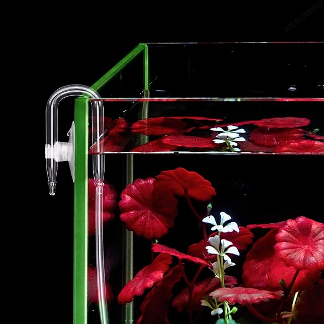 Foto 5 de 7 de WEAVERBIRD Tubo de acuario en forma de U, difusor de CO2 en forma de U