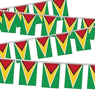 32FT Guyana Pennant Small Flag Bunting,30 PCS Mini String Banner Stripes Guyanese Decor Rectangle for Holiday Restaurant Home Party School