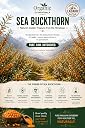 Sea Buckthorn Pulp, 100% Natural, No Added Sugar, Vitamin C Rich, 300 ml gallery image