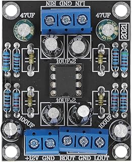 Preamplifier Module, NE5532 Dual Channel Preamplifier Module Single Power Amplification Capacitor Board DC 12V to 30V, Audio Component Amplifiers