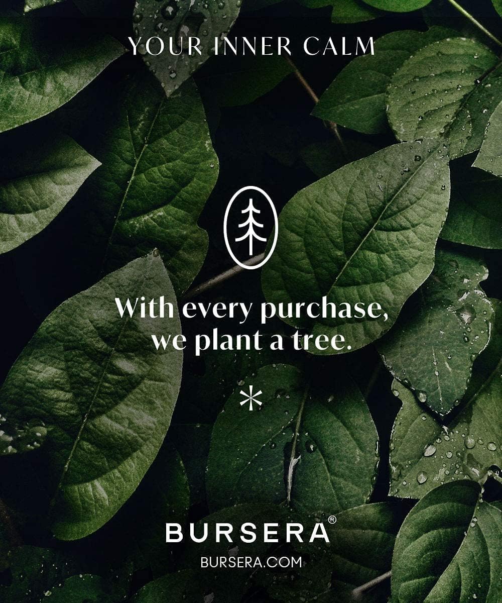Bursera Scented Candle - Desert Rose, Tree Planted with Every Order, Natural Scented Soy Candle | 7.4oz Single Wick Candle | Slow Burning 45hr Burn Time, Aromatherapy Non Toxic Candles