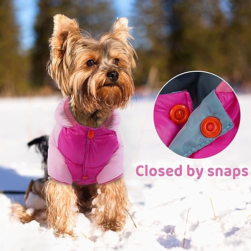 Miniatura 6 de FUAMEY Abrigo de invierno para perro, chaqueta acolchada para cachorros, chaleco de nieve para mascotas, lindo chaleco de nieve resistente al