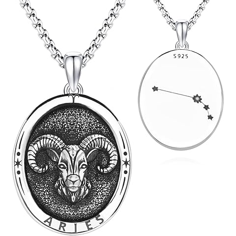 DOTBJ 925 Sterling Silver Zodiac Constellation Necklace with Stainless Steel Chain 22