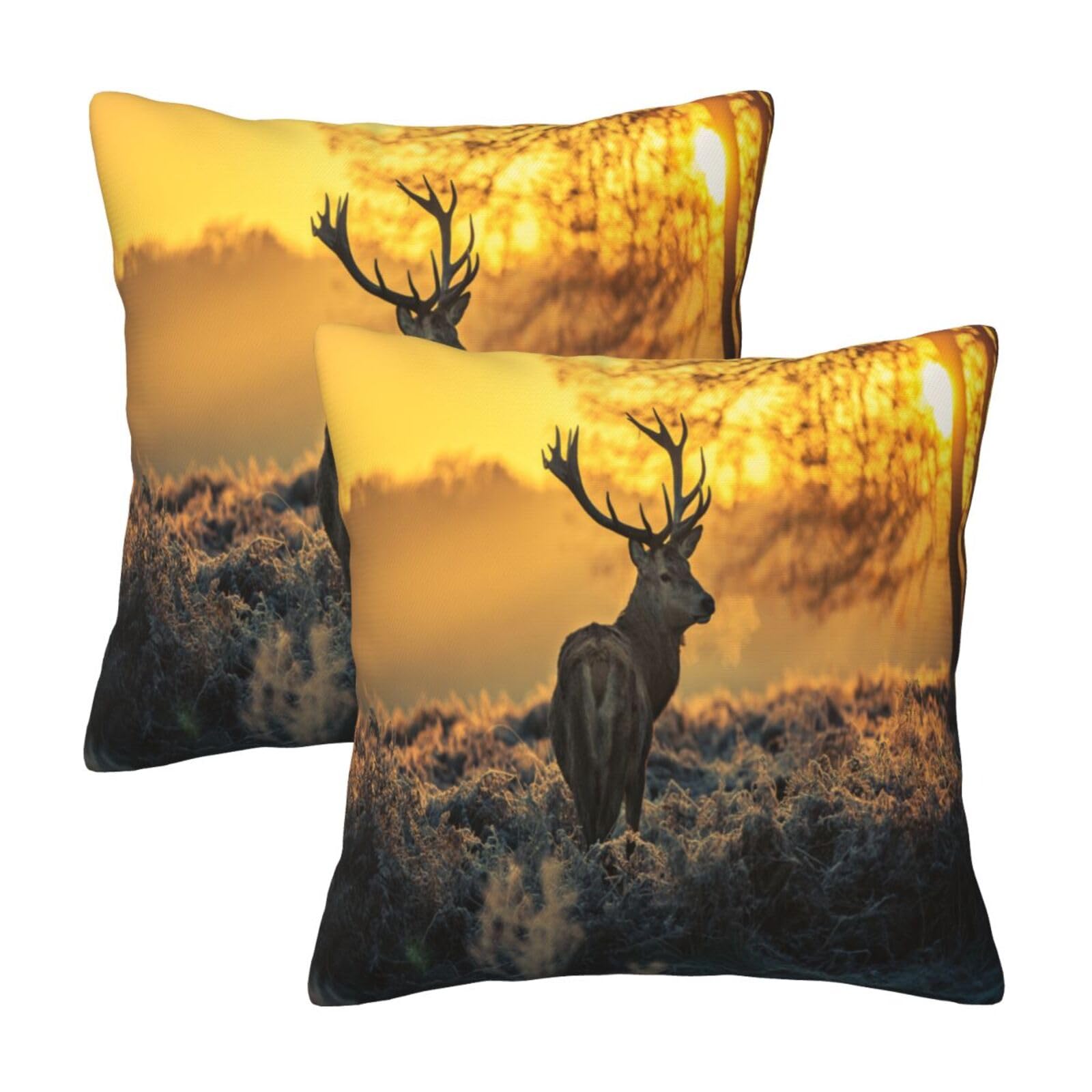 Ayoiow Set of 4 Federe Cuscini Federa Cuscini per Divano, Federe Decorative Quadrato 40 x 40 cm Psychedelic Federe for Cuscino Da Divano