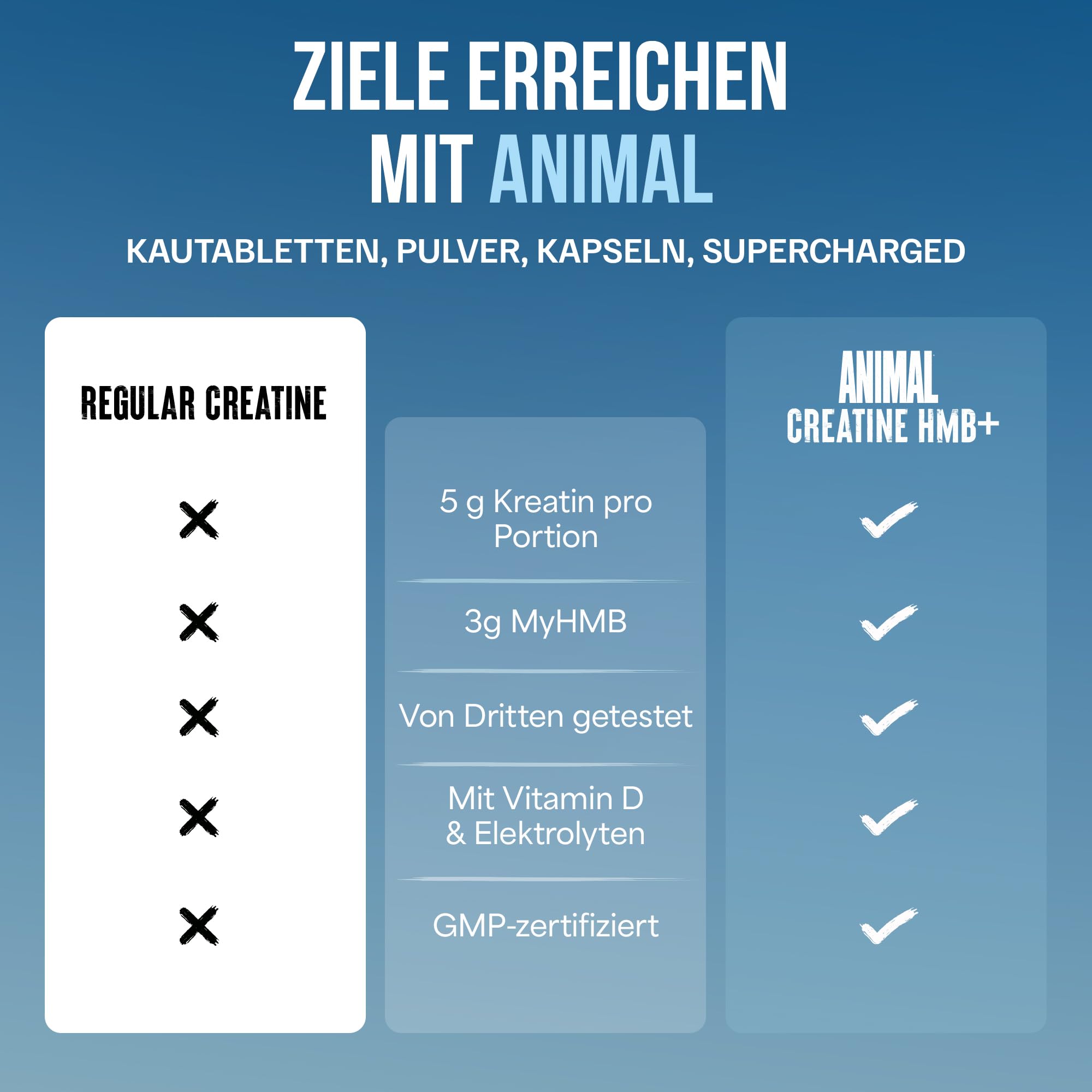 ANIMAL Creatine HMB+ - Kreatin-Monohydrat-Pulver mit HMB & Elektrolyten - unterstützt Muskelwachstum, Regeneration & Ausdauer - mit Dragon Berry, 30 Portionen