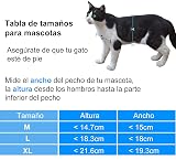 Ver la foto 4