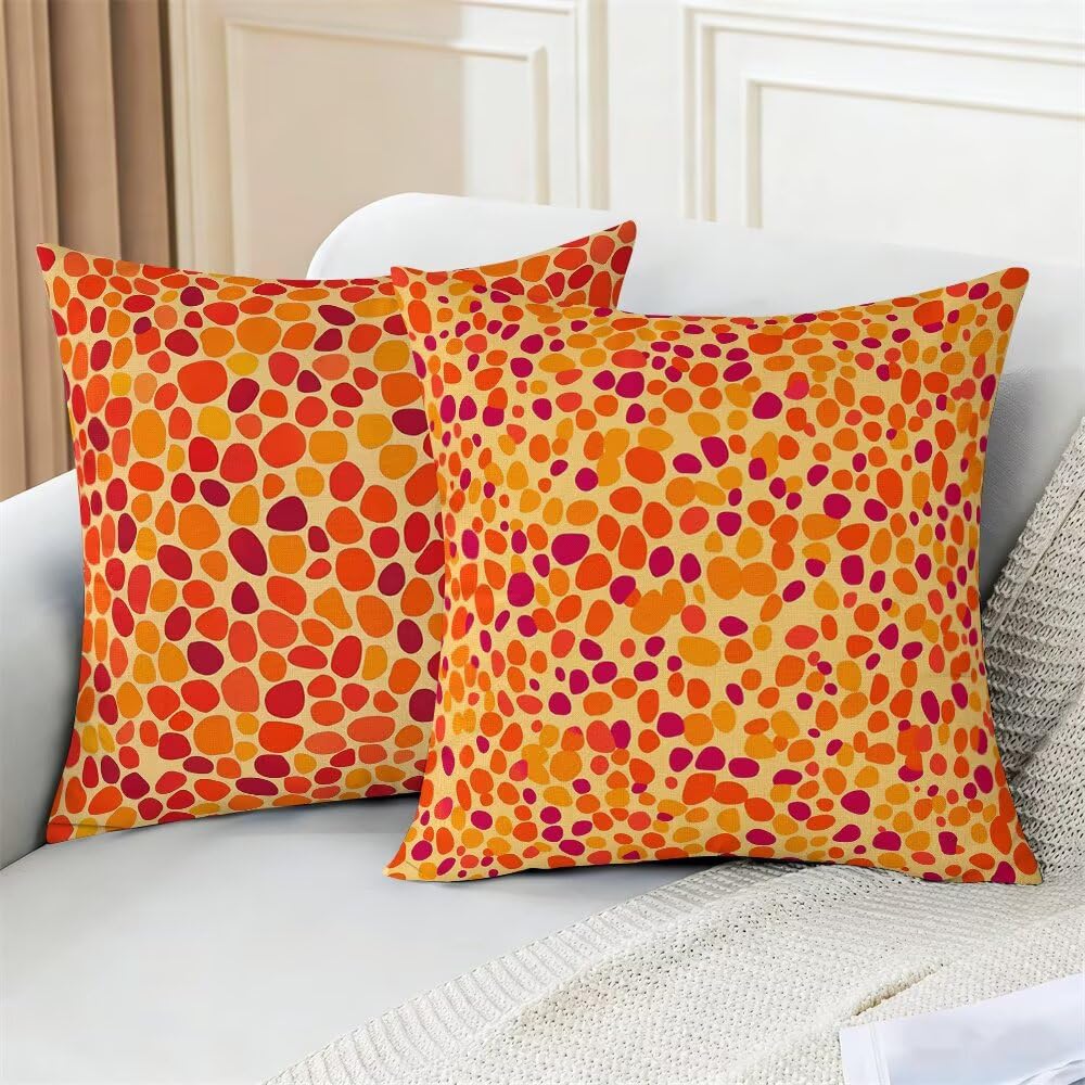 Federe Cuscini da Esterno Impermeabili 65x65 Arancione Copri Cuscini per Divano Astratto Federa Cuscino Moderno Decorativi Copricuscini per Divano Giardino Soggiorno Copricuscino Set di 2 (IU331)