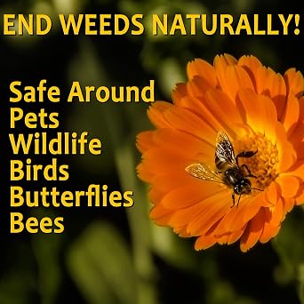 Natural Weed Killer Spray, Contains No Glyphosate, People, Pets and Planet, Results in Less Than 24-Hours (128 oz Gallon Refill)