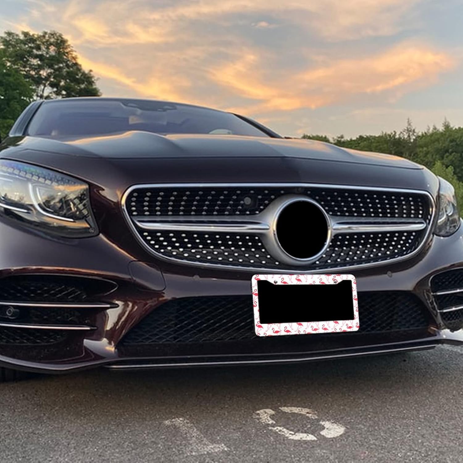 2-Pack Personalized License Plate Frame Stainless Steel Pink Flamingo Animals License Plate Holder Accessory Decorative 2 Holes and Screws Fits Us Standard License Plates Size: 12.2 X 6.3 Inch