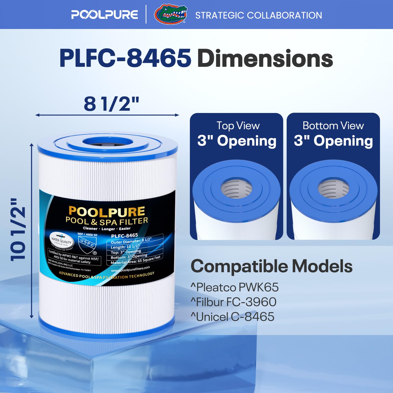 POOLPURE Lot de 2 filtres Spa C-8465 de Remplacement pour Watkins 31114, Pleatco PWK65, Filbur FC-3960, 71827, 71828, Watkins Tiger River