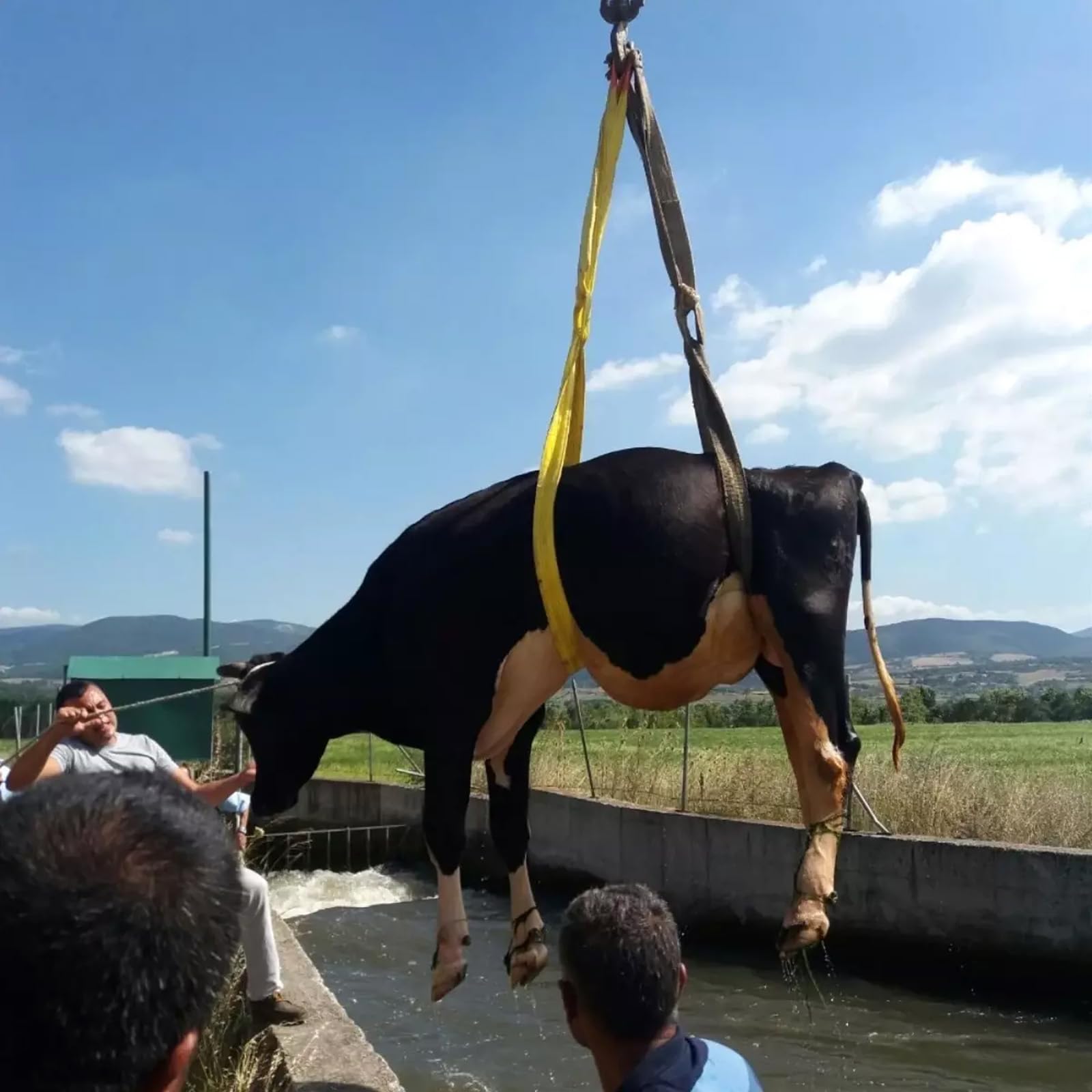 DASKING Rotule de balançoire 30kN - Roulement à Rotation silencieuse à 360°