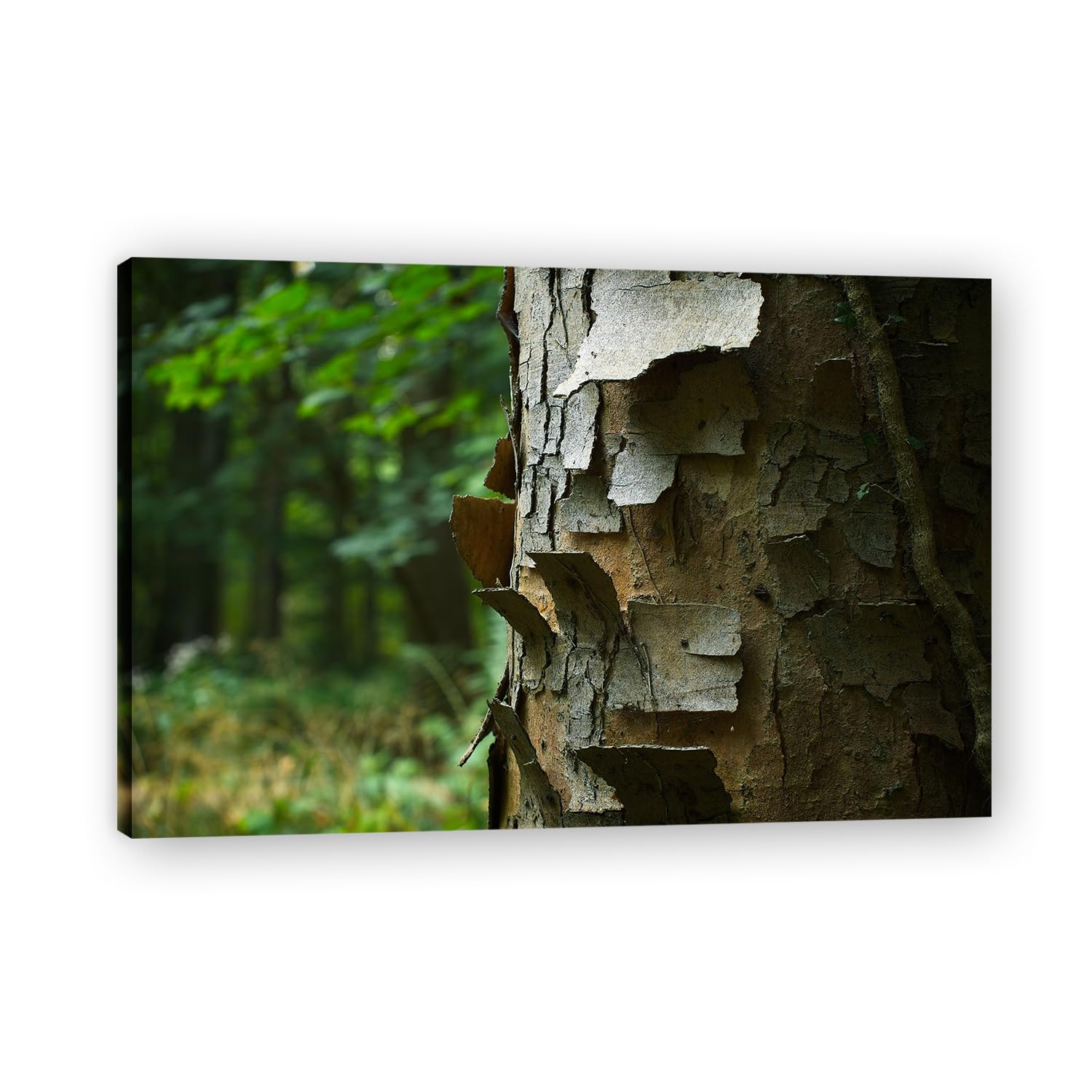 VHdfgTY AlternatelyMountain Landscape Canvas Wall Art Nature Scenery Wall Decor for Home 30x45cm Framed