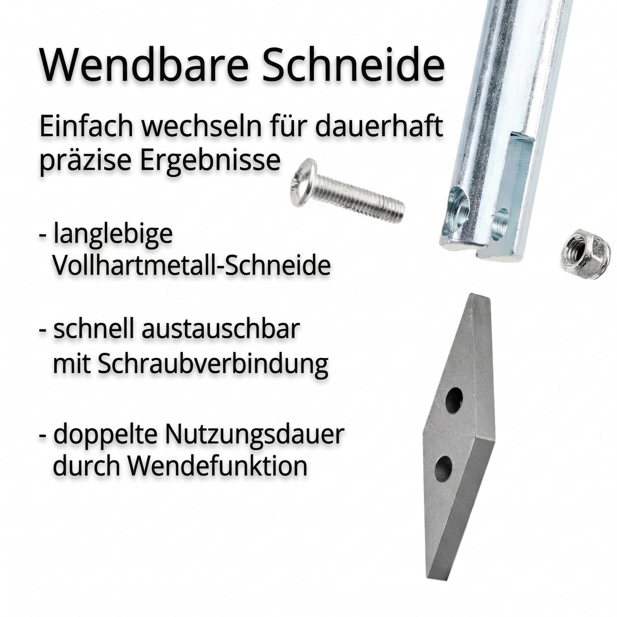 GIGANT Fugenkratzer mit Stiel Fugenreiniger Unkrautkratzer Schneide aus Vollhartmetall verschleißfest wendbar Handgriff inkl. Teleskopstiel und Ersatzschneide