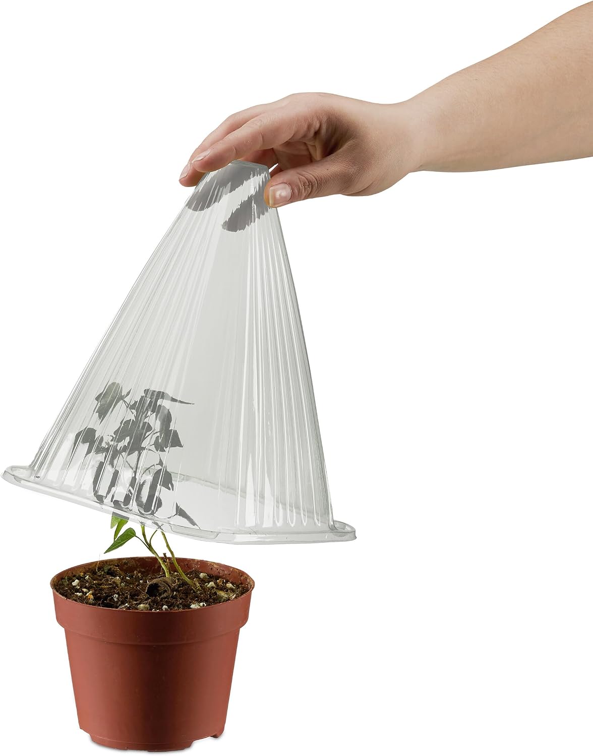 Relaxdays 32x Plant Cover, Snail and Frost Protection, 22 x 19 x 19 cm, Greenhouse Propagation Cones, Grey/Transparent, Rubber, 54 x 42 x 81 cm