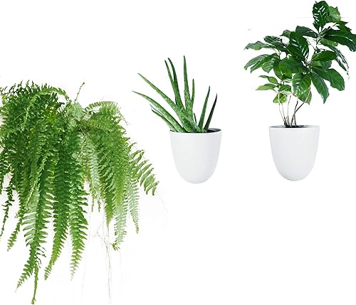 PlantPod Luxe - Macetas de pared con riego automático (juego de 3), fáciles de regar e instalar, ligeras, diseña tu propio jardín vertical, macetas