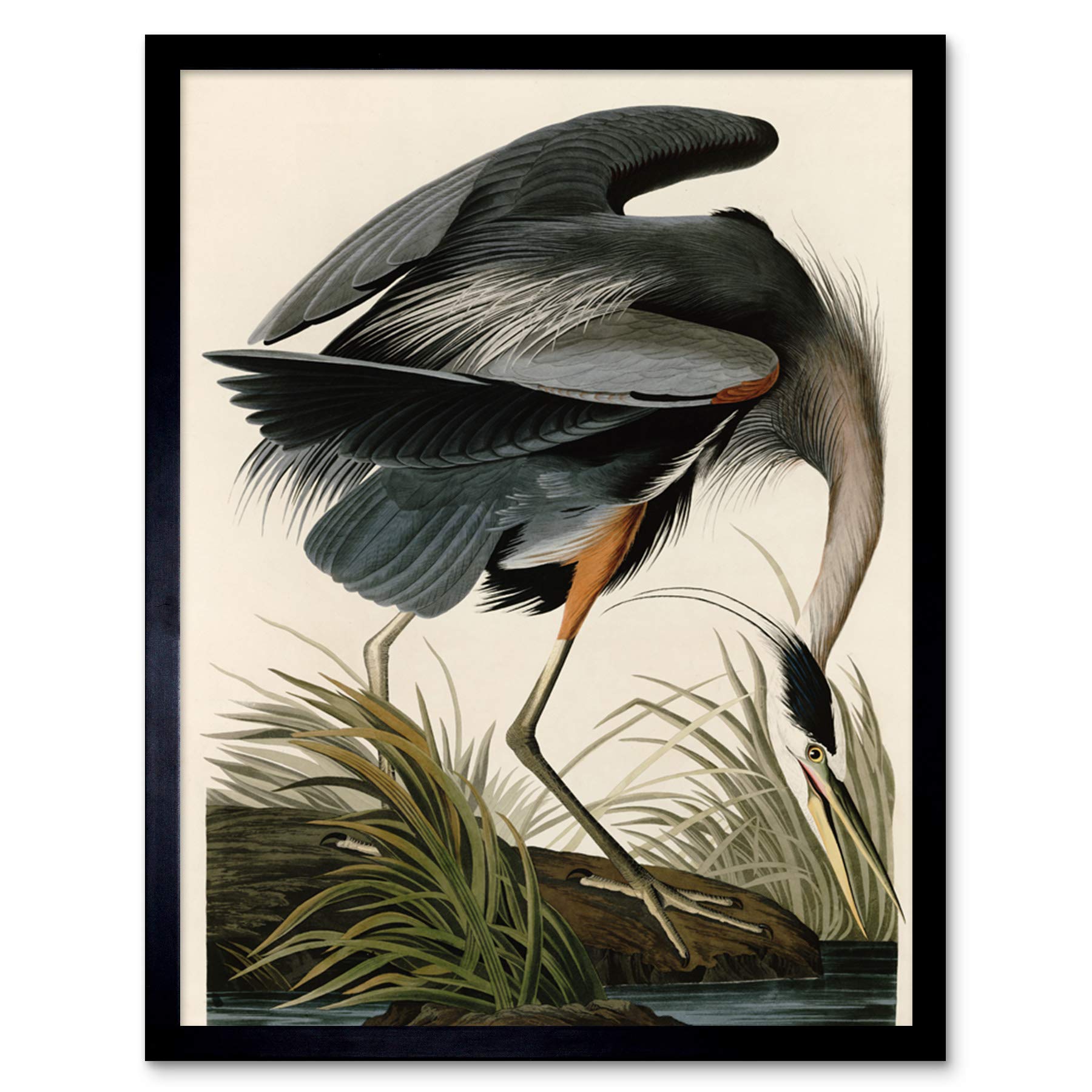 Wee Blue Coo Audubon Birds Great Blue Heron Painting 12X16" Framed Wall Art Print from B&Q