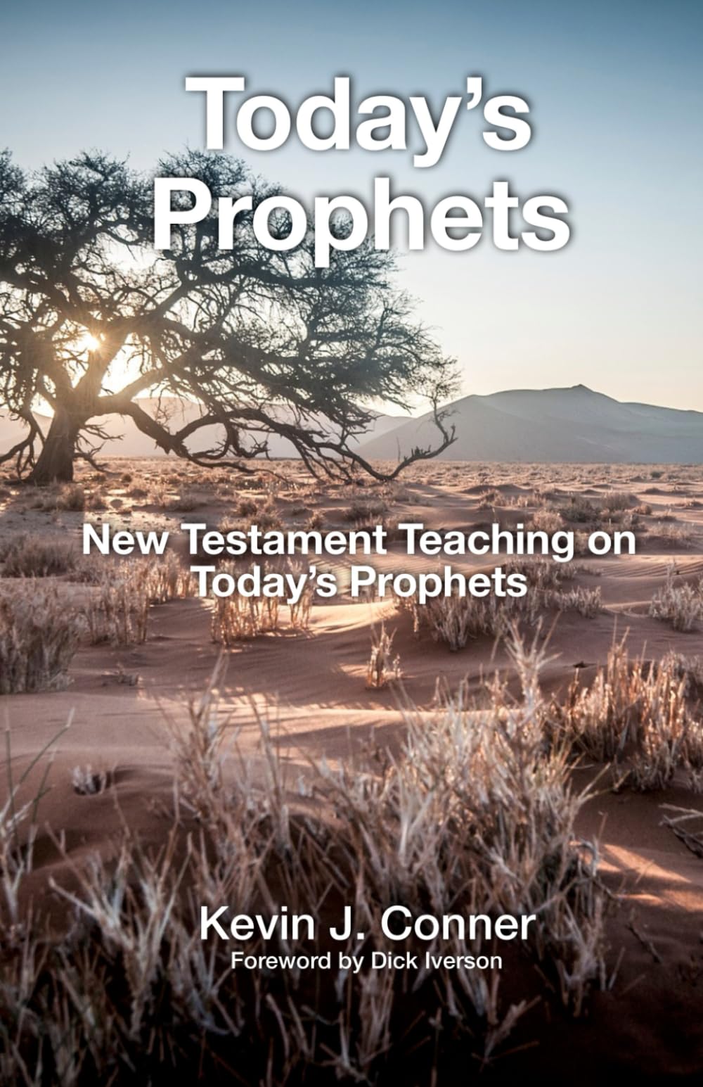 Today's Prophets: New Testament Teaching on Today's Prophets