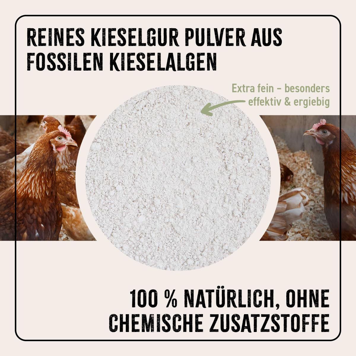 AniForte Kieselgur für Hühner 4,2kg inkl. Stäubeflasche - Reines Kieselgur Hühner Pulver, Kieselerde Pulver, Naturprodukt für Hühnerstall, Laborgeprüft für Geflügel Betriebe